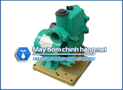 Máy bơm nước chân không Wilo PW 750E NK (750w) 